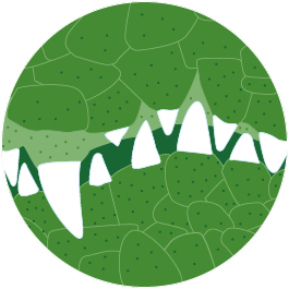 Les animaux et leurs dents